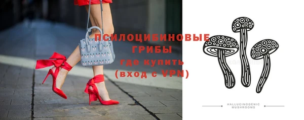 apvp Ельня