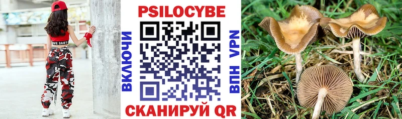 закладки  Алексеевка  Псилоцибиновые грибы MAGIC MUSHROOMS 