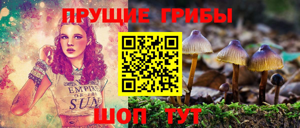 Псилоцибиновые грибы GOLDEN TEACHER  Галлюциногенные грибы мухоморы  Алексеевка  Вход с VPN 