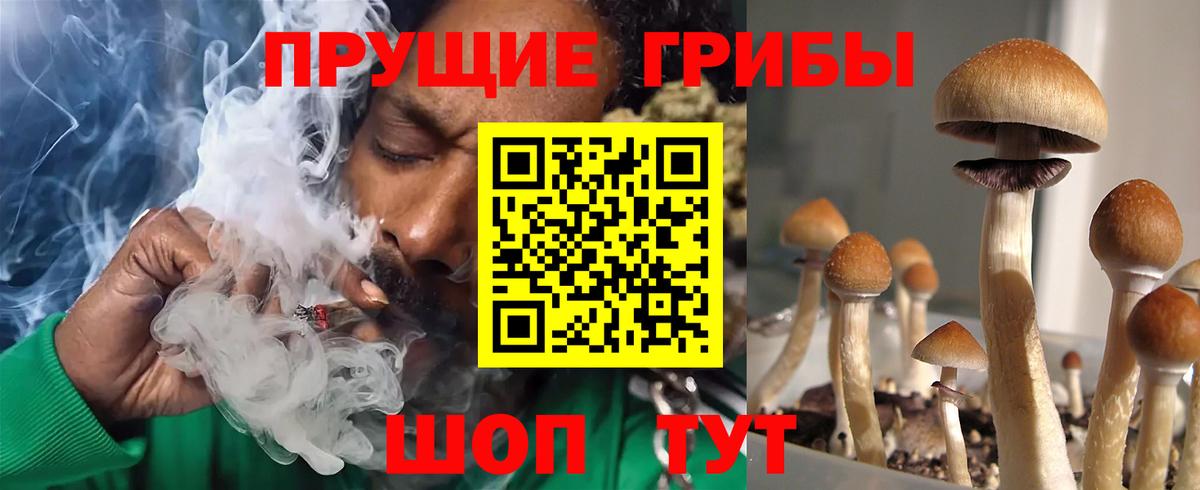 Галлюциногенные грибы мицелий Алексеевка